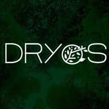 Dryos Assessoria Digital